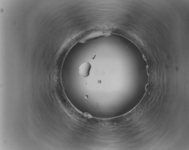 X0000063510736200601271810