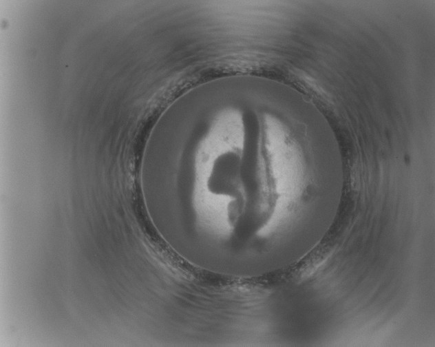 X0000063510737200601271810