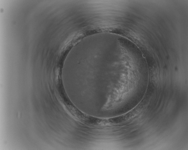 X0000063510742200601271810