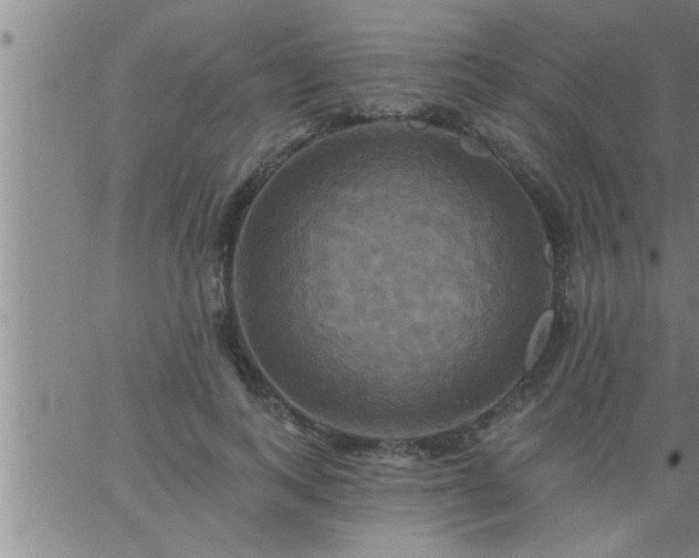 X0000063510743200601271810