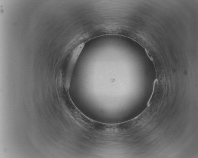 X0000063510744200601271810