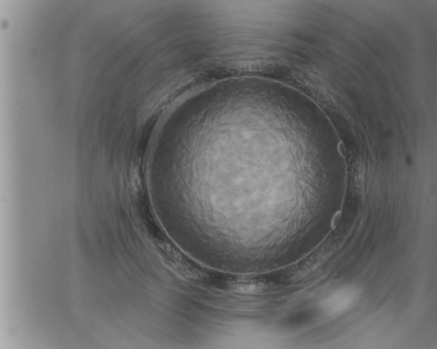 X0000063510746200601271810