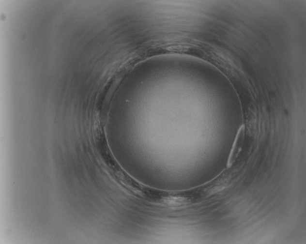 X0000063510748200601271810