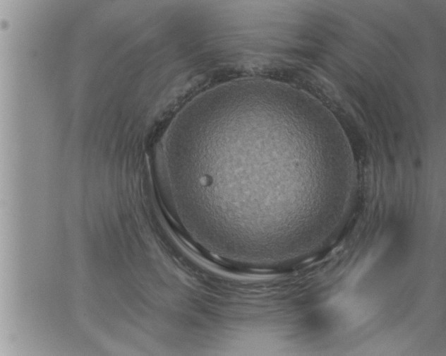 X0000063510750200601271810