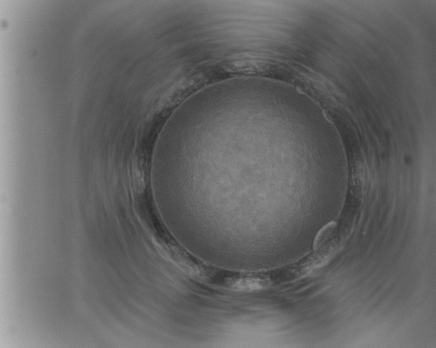 X0000063510751200601271810