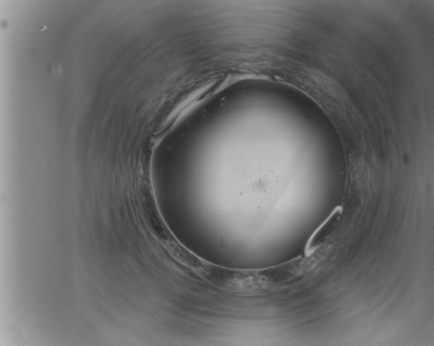 X0000063510752200601271810