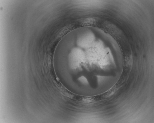 X0000063510753200601271810