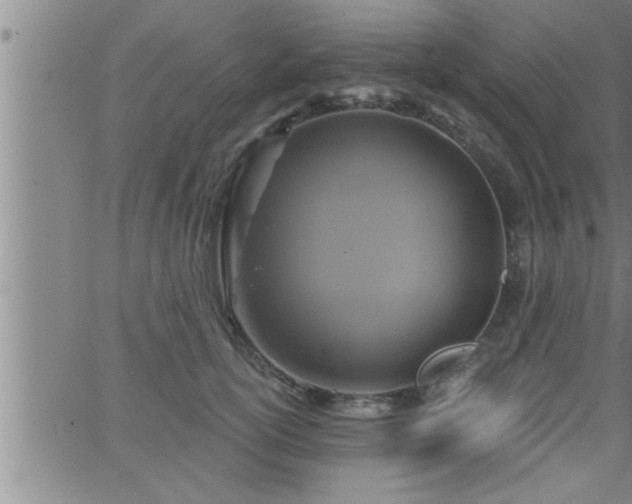 X0000063510754200601271810