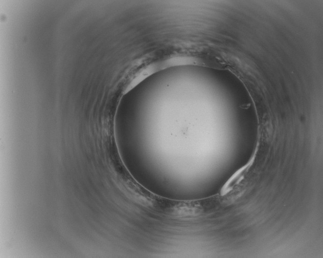 X0000063510756200601271810