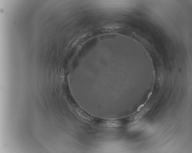 X0000063510758200601271810