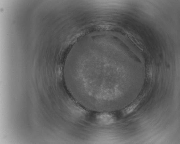 X0000063510759200601271810