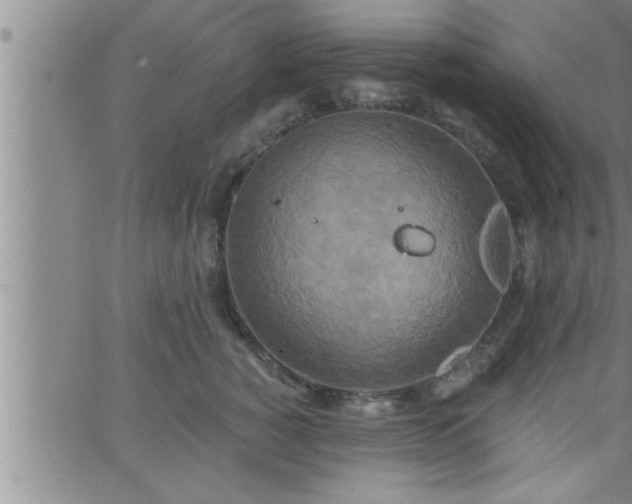 X0000063510760200601271810