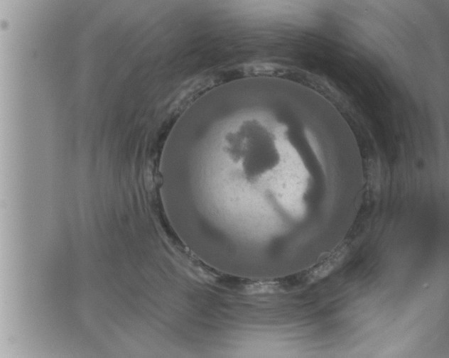 X0000063510761200601271810