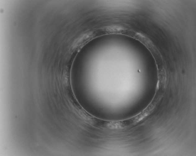 X0000063510762200601271810