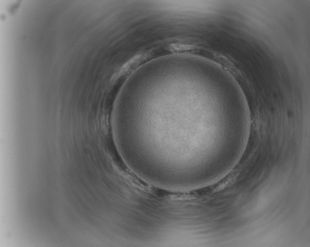 X0000063510763200601271810