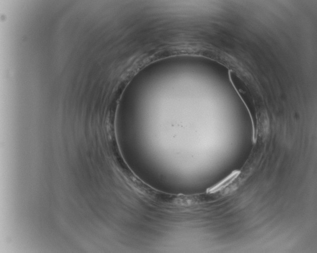 X0000063510764200601271810