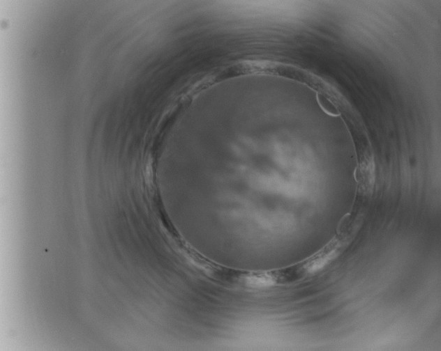 X0000063510765200601271810