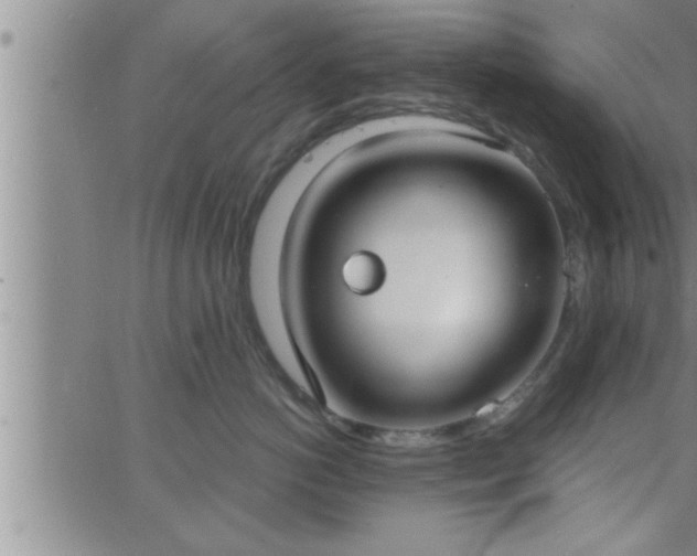 X0000063510766200601271810