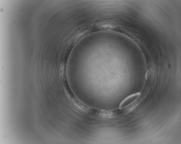 X0000063510767200601271810