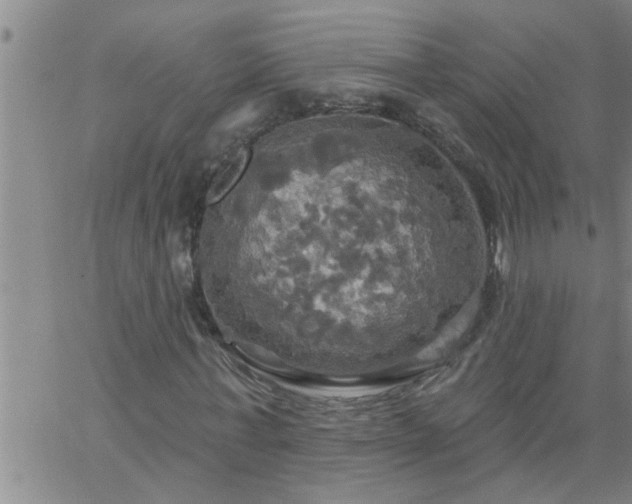 X0000063510771200601271810