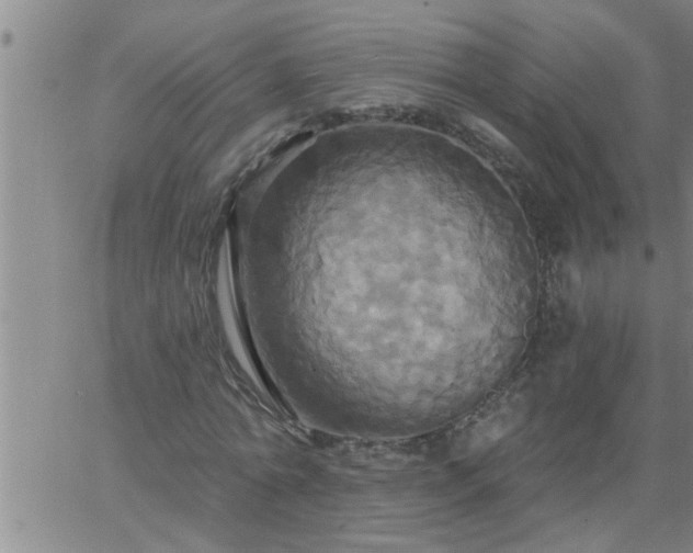 X0000063510774200601271810