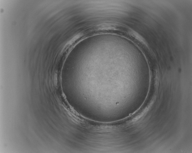 X0000063510777200601271809