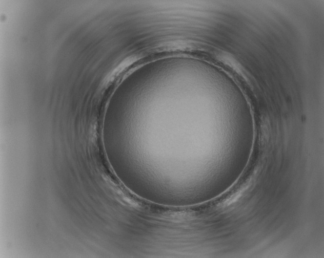 X0000063510778200601271809