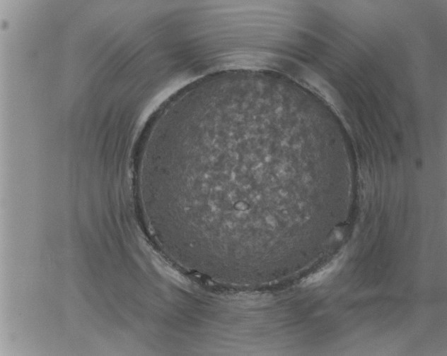 X0000063510779200601271809