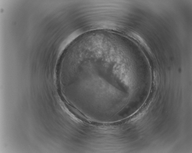 X0000063510780200601271809