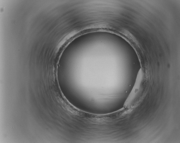 X0000063510781200601271809