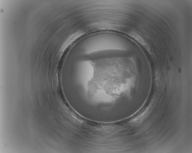 X0000063510782200601271809