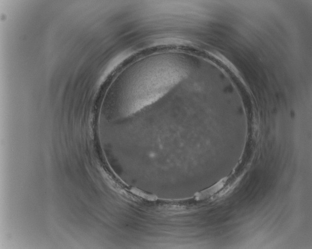 X0000063510783200601271809