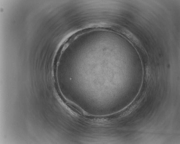 X0000063510784200601271809