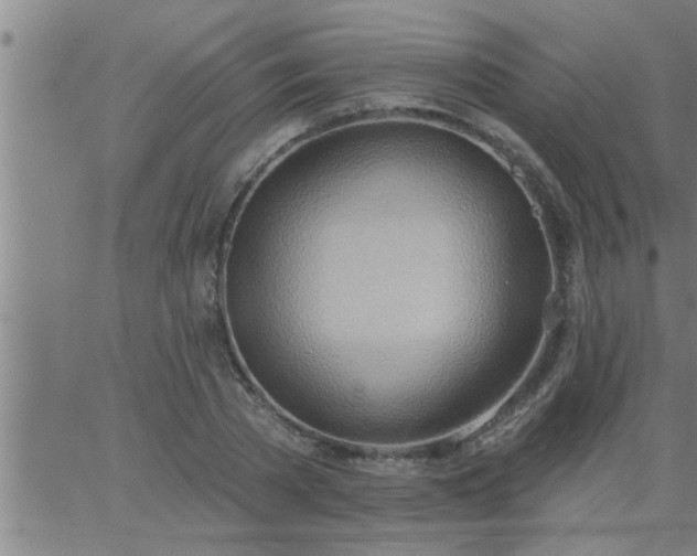 X0000063510785200601271809