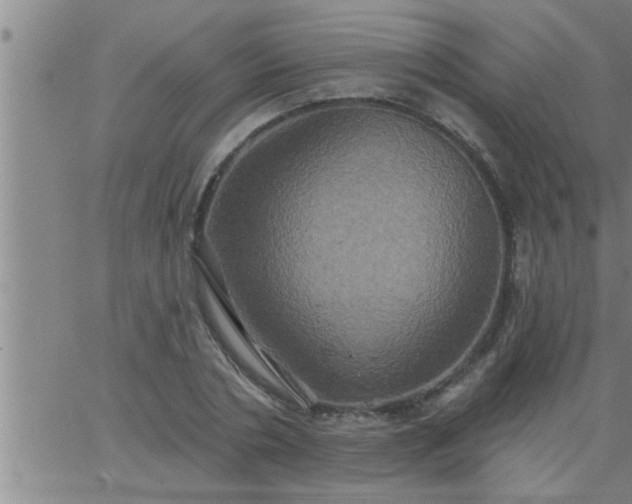 X0000063510786200601271809