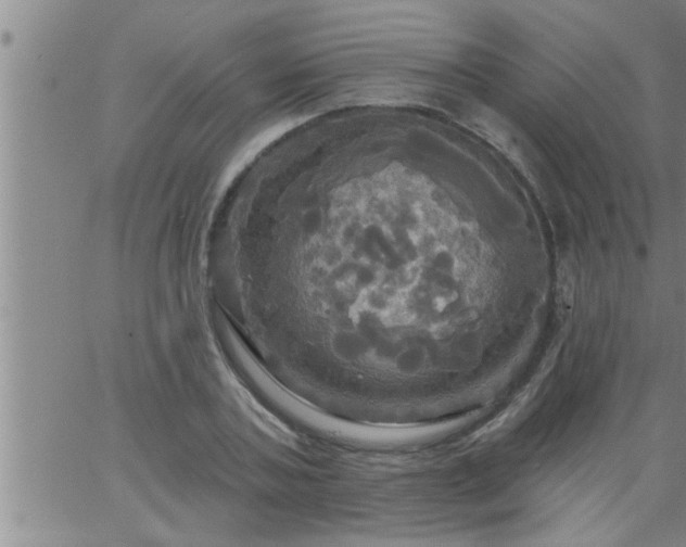 X0000063510787200601271809