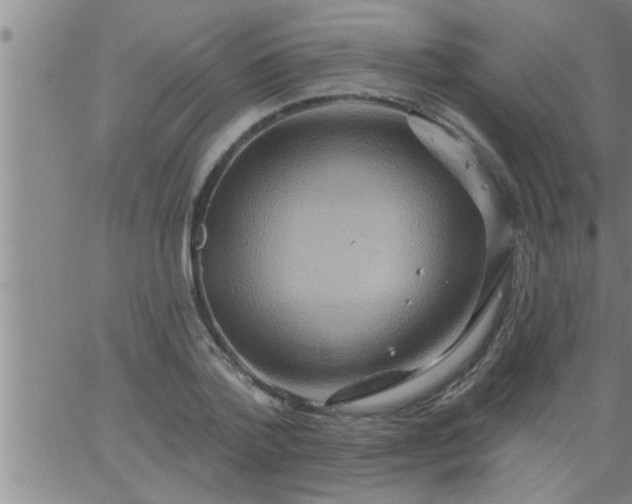 X0000063510788200601271809