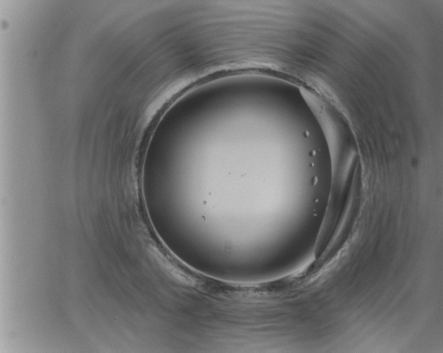 X0000063510789200601271809