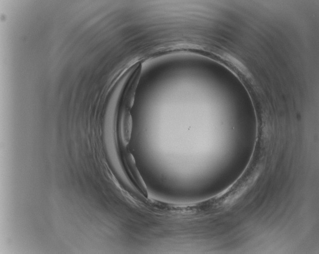 X0000063510793200601271809