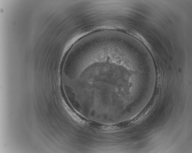 X0000063510795200601271809