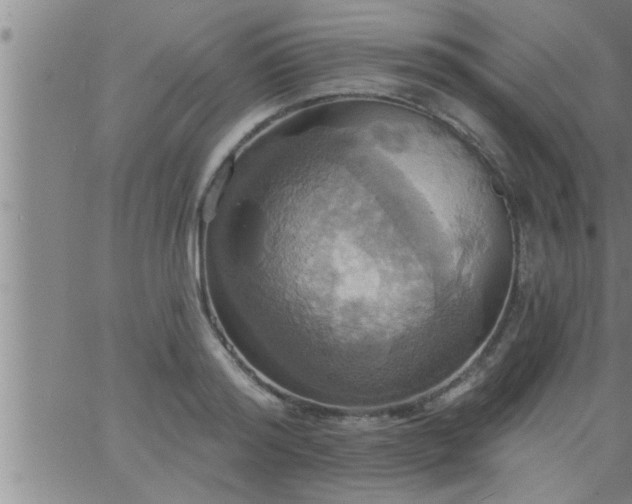 X0000063510796200601271809