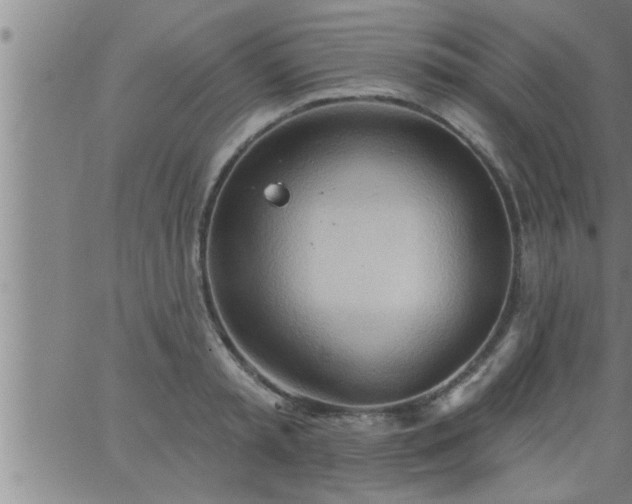 X0000063510797200601271809