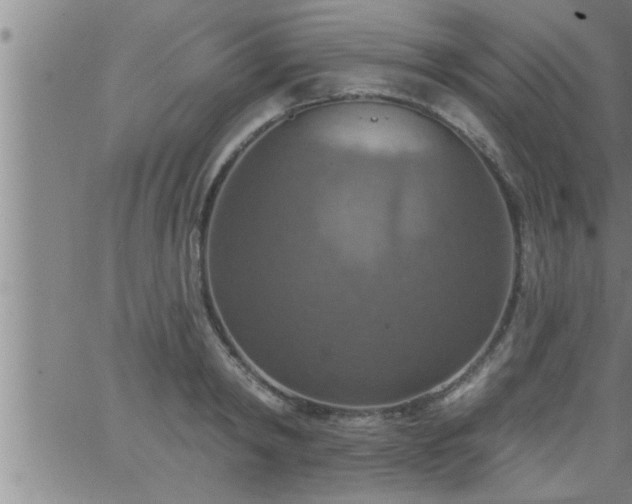 X0000063510798200601271809