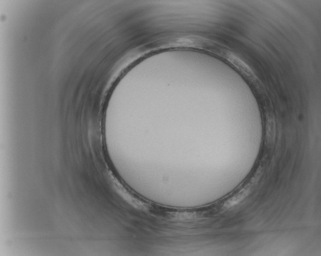 X0000063510800200601271809