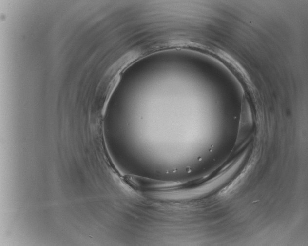 X0000063510801200601271809