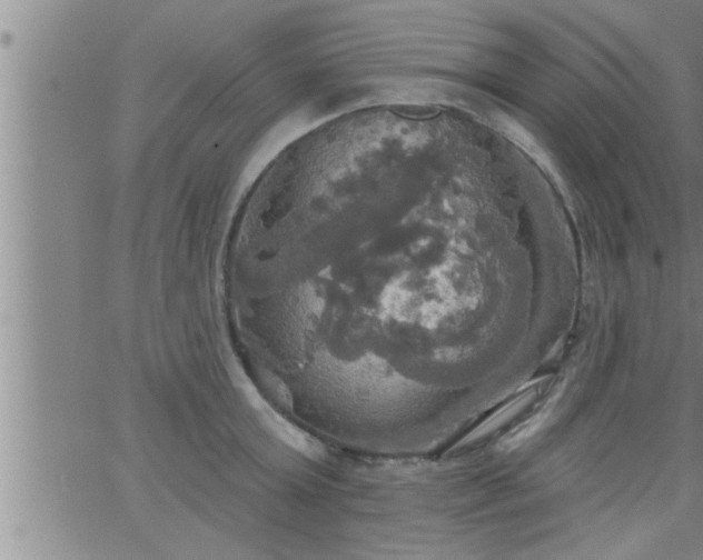 X0000063510803200601271809