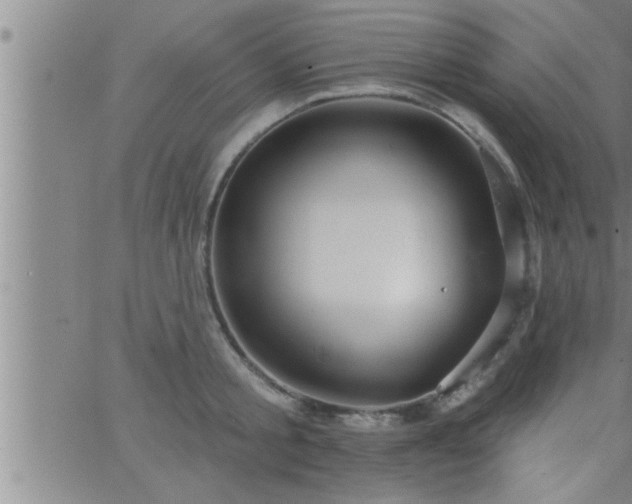 X0000063510805200601271809