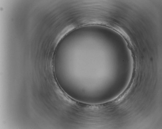 X0000063510806200601271809