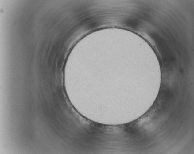 X0000063510807200601271809