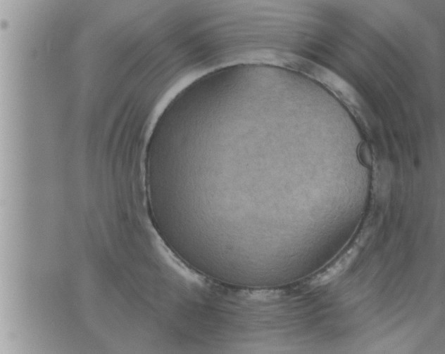 X0000063510808200601271809